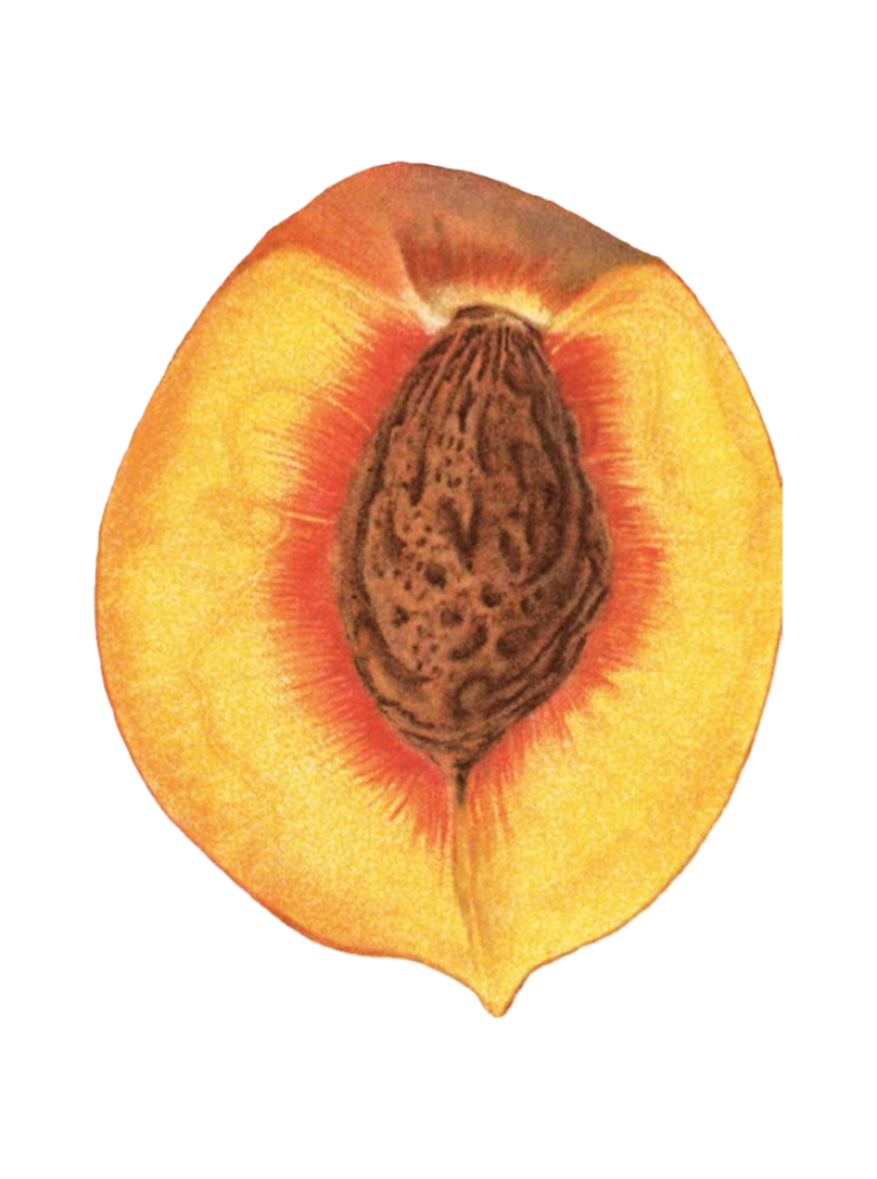 peachymean